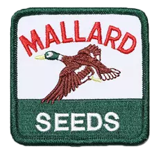 Logo Patches - Portfolio