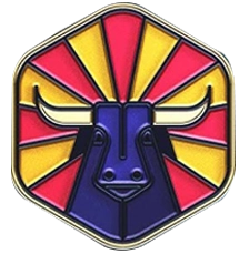 Lapel Pins - Portfolio