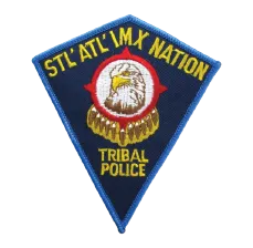 Police Patches - Portfolio