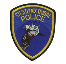 Police Patches - Portfolio