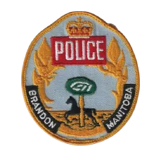 Police Patches - Portfolio