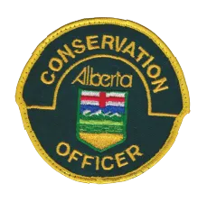 Police Patches - Portfolio